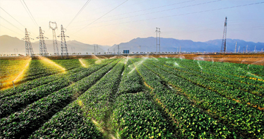 陜西百川生物堅持優(yōu)質(zhì)的產(chǎn)品品質(zhì)