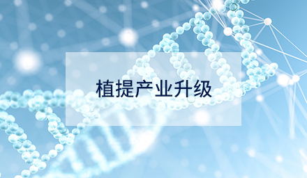 技術(shù)創(chuàng)新如何驅(qū)動(dòng)植提產(chǎn)業(yè)升級(jí)？